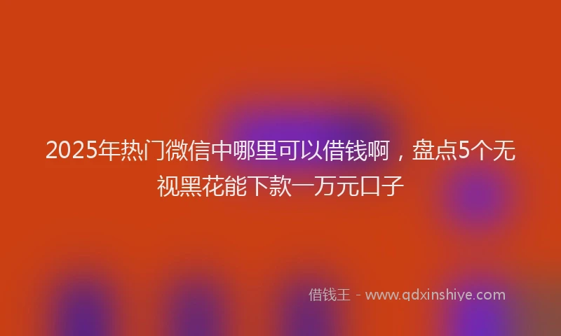 2025年热门微信中哪里可以借钱啊，盘点5个无视黑花能下款一万元口子
