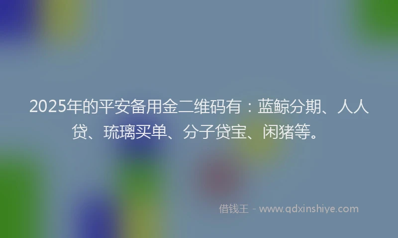 2025年的平安备用金二维码有：蓝鲸分期、人人贷、琉璃买单、分子贷宝、闲猪等。