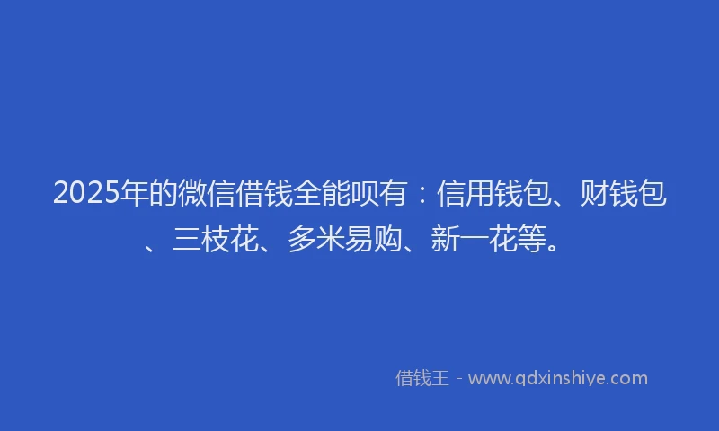 2025年的微信借钱全能呗有:信用钱包、财钱包、三枝花、多米易购、新一花等。