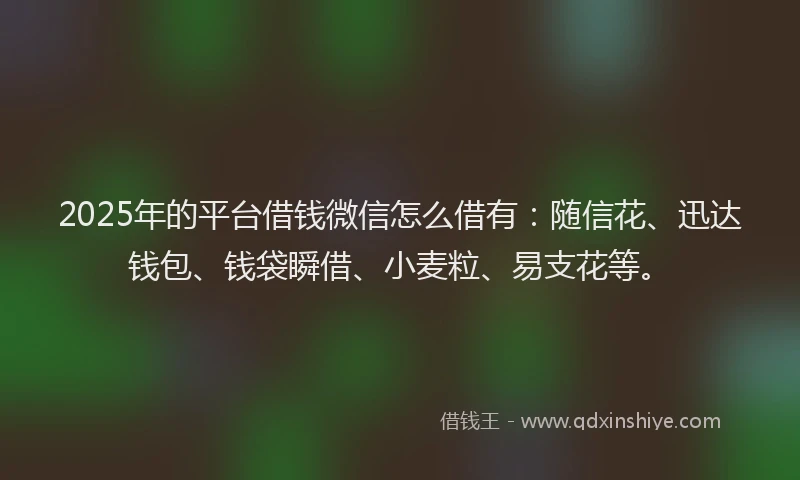 2025年的平台借钱微信怎么借有：随信花、迅达钱包、钱袋瞬借、小麦粒、易支花等。