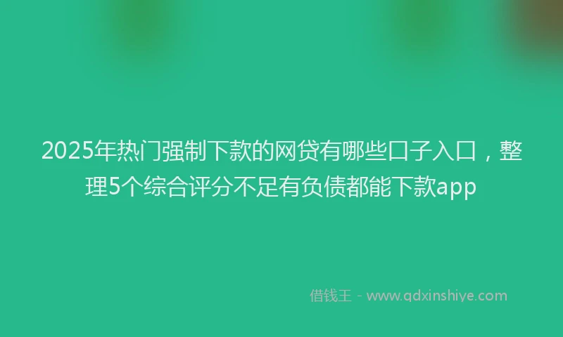 2025年热门强制下款的网贷有哪些口子入口，整理5个综合评分不足有负债都能下款app