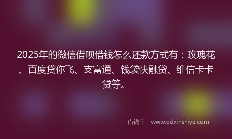2025年的微信借呗借钱怎么还款方式有：玫瑰花、百度贷你飞、支富通、钱袋快融贷、维信卡卡贷等。