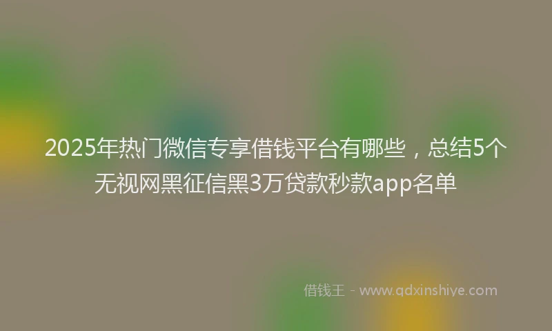 2025年热门微信专享借钱平台有哪些，总结5个无视网黑征信黑3万贷款秒款app名单