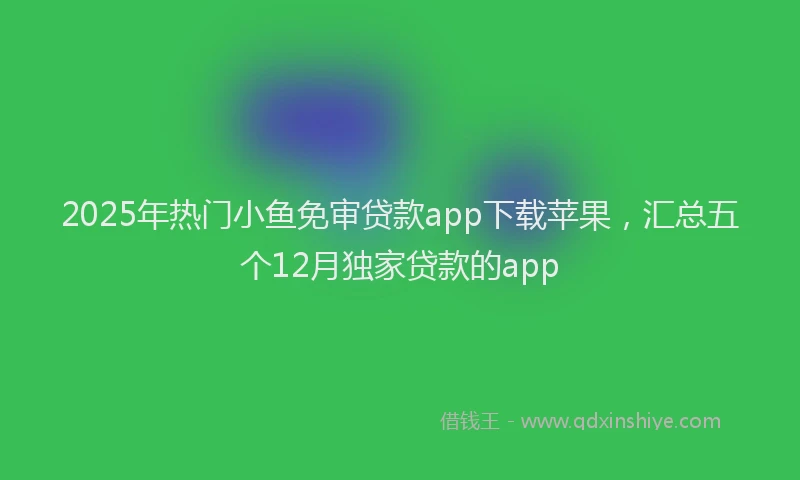 2025年热门小鱼免审贷款app下载苹果，汇总五个12月独家贷款的app