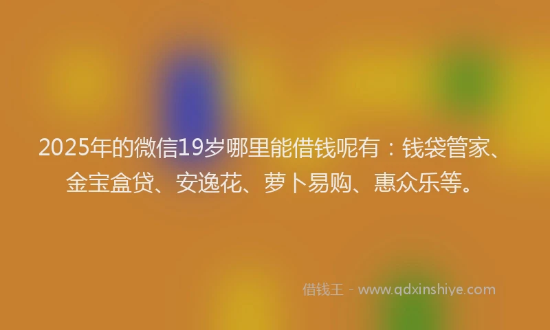 2025年的微信19岁哪里能借钱呢有：钱袋管家、金宝盒贷、安逸花、萝卜易购、惠众乐等。