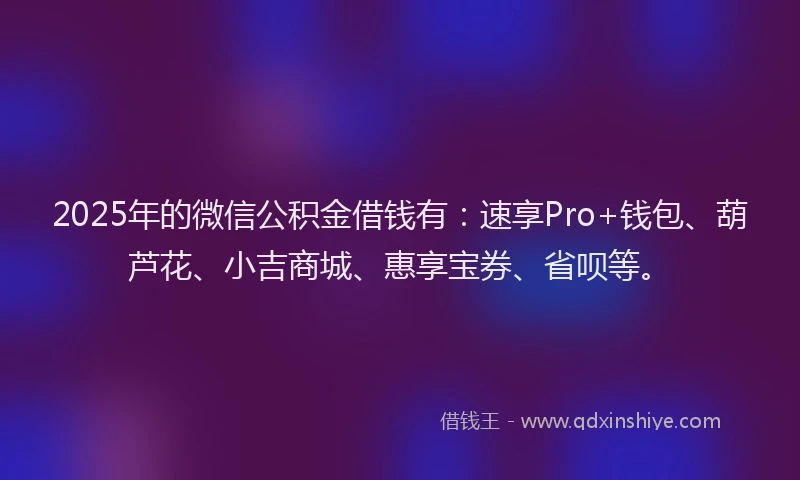 2025年的微信公积金借钱有：速享Pro+钱包、葫芦花、小吉商城、惠享宝券、省呗等。