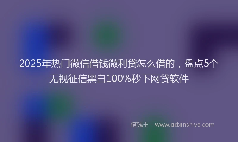 2025年热门微信借钱微利贷怎么借的，盘点5个无视征信黑白100%秒下网贷软件