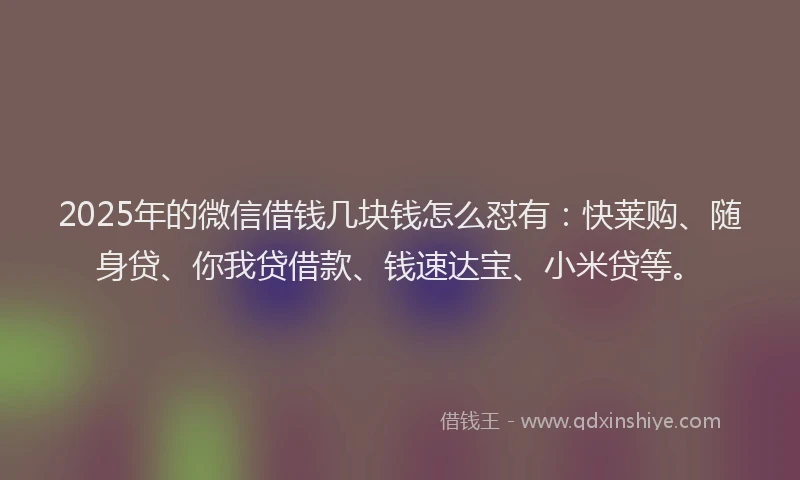 2025年的微信借钱几块钱怎么怼有：快莱购、随身贷、你我贷借款、钱速达宝、小米贷等。