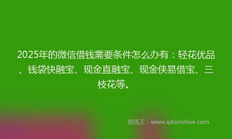 2025年的微信借钱需要条件怎么办有：轻花优品、钱袋快融宝、现金直融宝、现金侠易借宝、三枝花等。