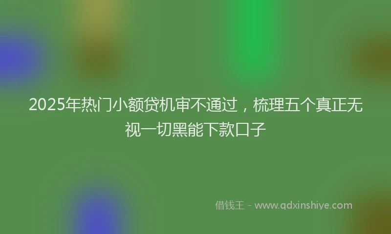 2025年热门小额贷机审不通过，梳理五个真正无视一切黑能下款口子