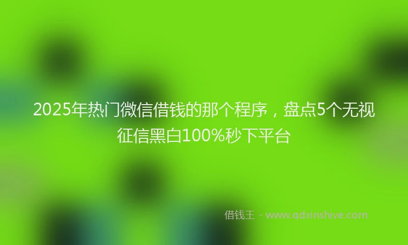 2025年热门微信借钱的那个程序，盘点5个无视征信黑白100%秒下平台