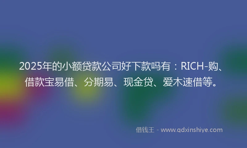 2025年的小额贷款公司好下款吗有：RICH-购、借款宝易借、分期易、现金贷、爱木速借等。