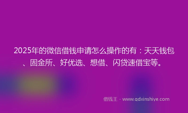 2025年的微信借钱申请怎么操作的有：天天钱包、固金所、好优选、想借、闪贷速借宝等。