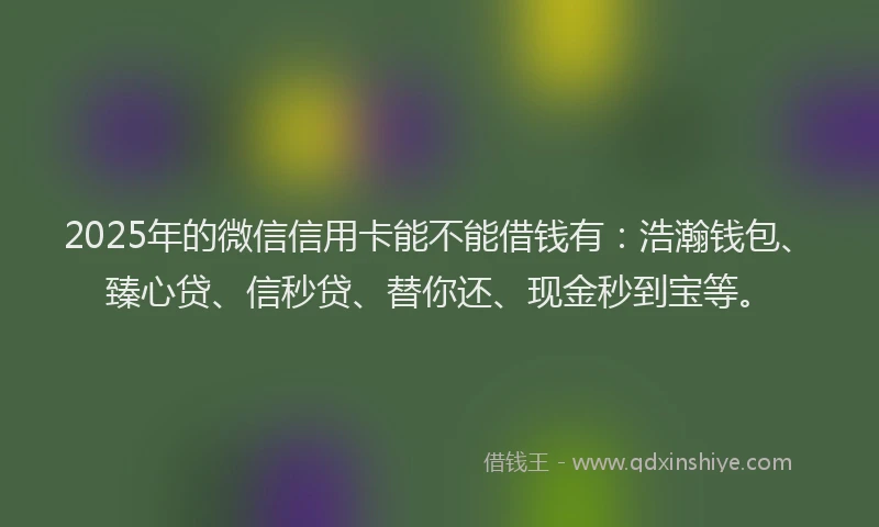 2025年的微信信用卡能不能借钱有：浩瀚钱包、臻心贷、信秒贷、替你还、现金秒到宝等。