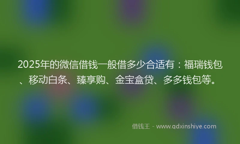 2025年的微信借钱一般借多少合适有：福瑞钱包、移动白条、臻享购、金宝盒贷、多多钱包等。