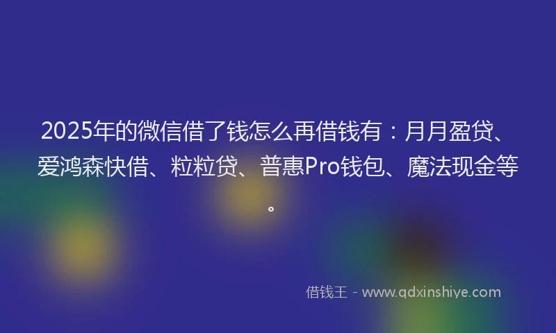 2025年的微信借了钱怎么再借钱有：月月盈贷、爱鸿森快借、粒粒贷、普惠Pro钱包、魔法现金等。