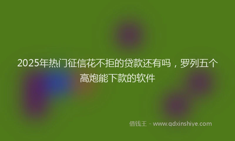 2025年热门征信花不拒的贷款还有吗，罗列五个高炮能下款的软件