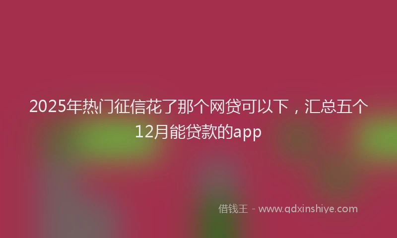 2025年热门征信花了那个网贷可以下，汇总五个12月能贷款的app