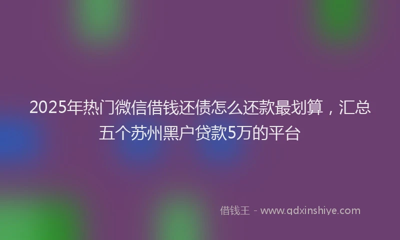 2025年热门微信借钱还债怎么还款最划算，汇总五个苏州黑户贷款5万的平台