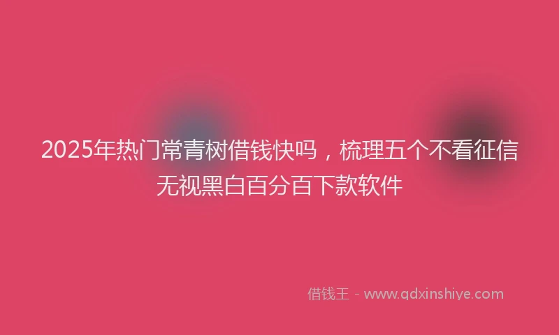 2025年热门常青树借钱快吗，梳理五个不看征信无视黑白百分百下款软件
