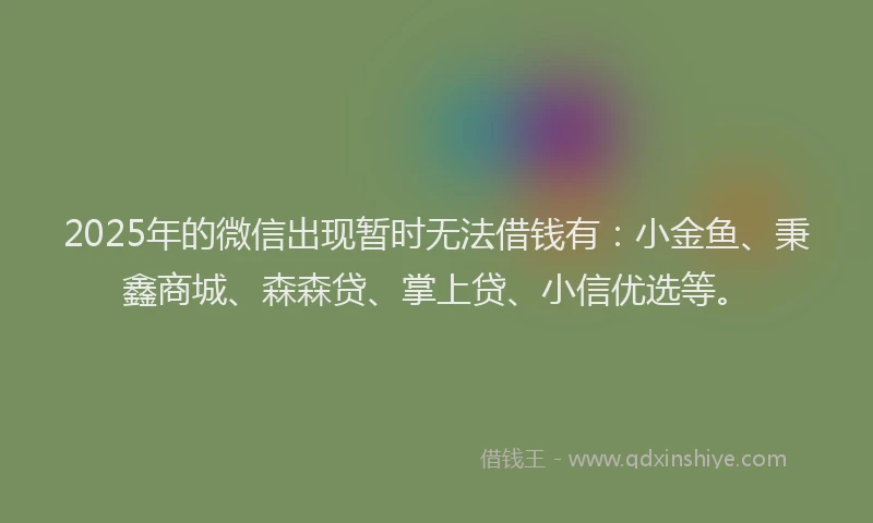 2025年的微信出现暂时无法借钱有：小金鱼、秉鑫商城、森森贷、掌上贷、小信优选等。
