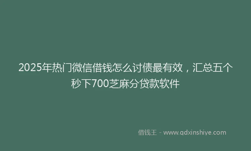 2025年热门微信借钱怎么讨债最有效，汇总五个秒下700芝麻分贷款软件