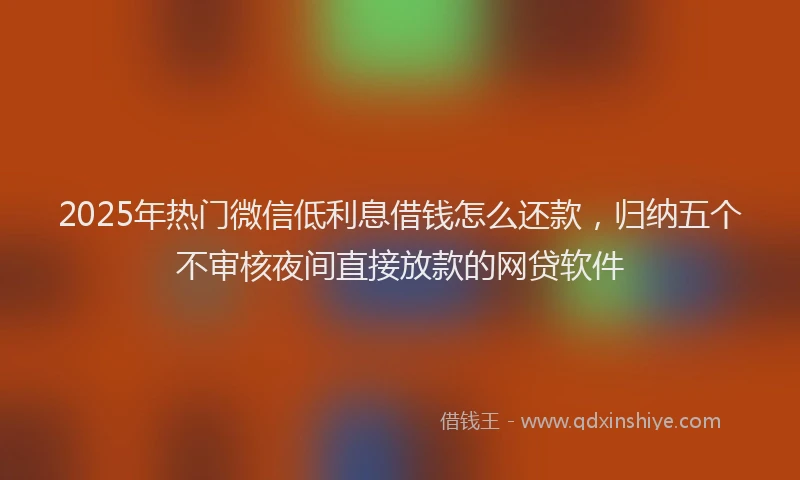 2025年热门微信低利息借钱怎么还款，归纳五个不审核夜间直接放款的网贷软件