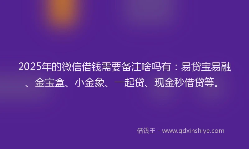 2025年的微信借钱需要备注啥吗有：易贷宝易融、金宝盒、小金象、一起贷、现金秒借贷等。
