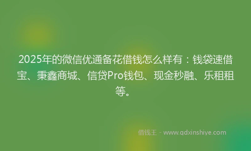 2025年的微信优通备花借钱怎么样有：钱袋速借宝、秉鑫商城、信贷Pro钱包、现金秒融、乐租租等。