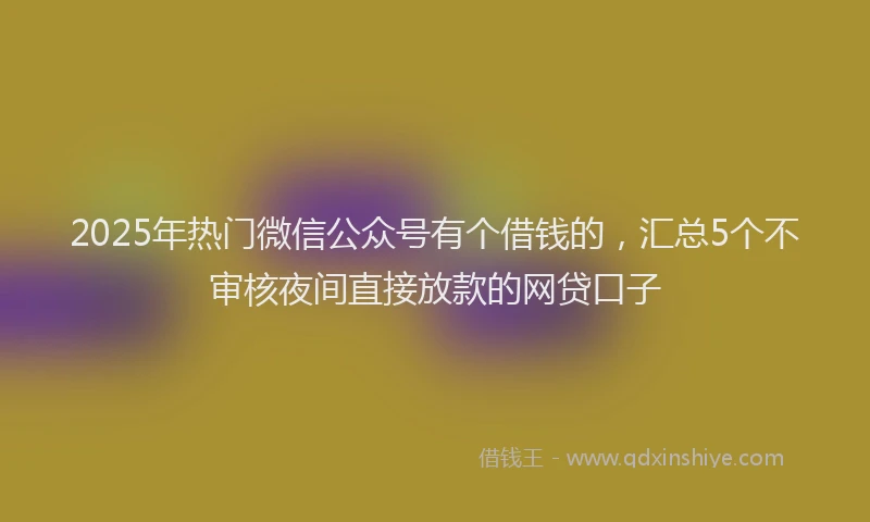 2025年热门微信公众号有个借钱的，汇总5个不审核夜间直接放款的网贷口子