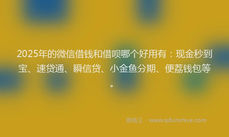 2025年的微信借钱和借呗哪个好用有：现金秒到宝、速贷通、瞬信贷、小金鱼分期、便荔钱包等。
