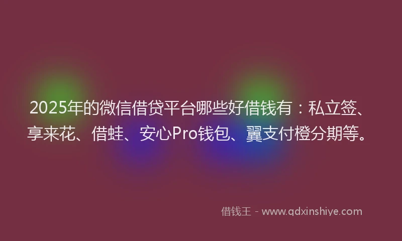 2025年的微信借贷平台哪些好借钱有：私立签、享来花、借蛙、安心Pro钱包、翼支付橙分期等。