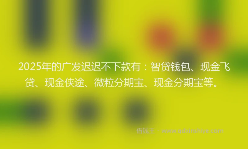 2025年的广发迟迟不下款有：智贷钱包、现金飞贷、现金侠途、微粒分期宝、现金分期宝等。