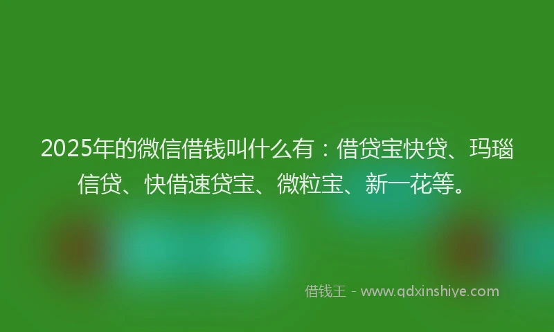 2025年的微信借钱叫什么有：借贷宝快贷、玛瑙信贷、快借速贷宝、微粒宝、新一花等。