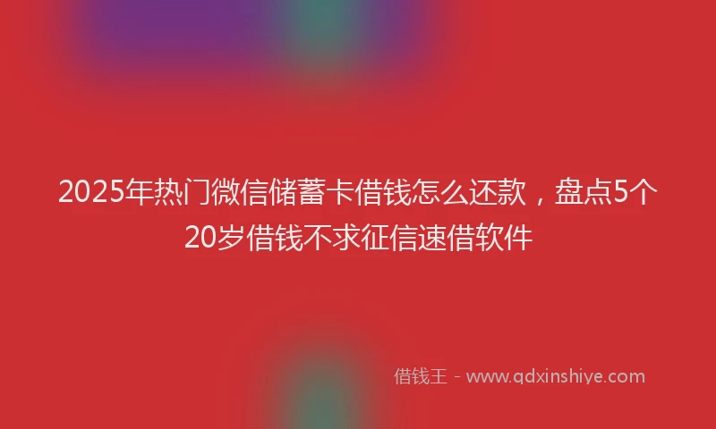 2025年热门微信储蓄卡借钱怎么还款，盘点5个20岁借钱不求征信速借软件