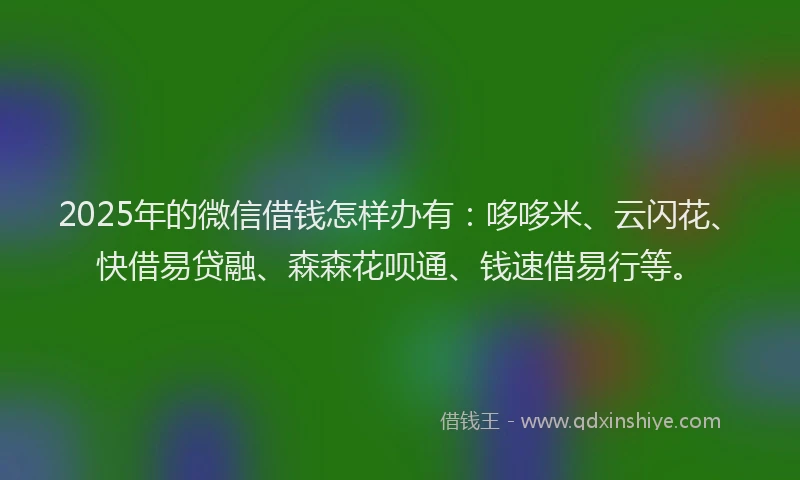 2025年的微信借钱怎样办有：哆哆米、云闪花、快借易贷融、森森花呗通、钱速借易行等。