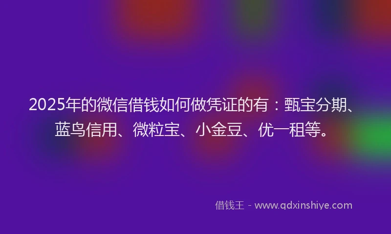 2025年的微信借钱如何做凭证的有:甄宝分期、蓝鸟信用、微粒宝、小金豆、优一租等。