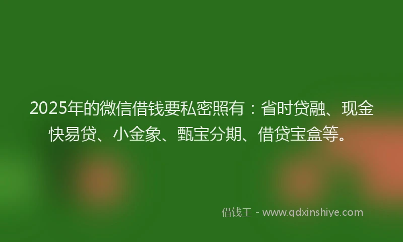 2025年的微信借钱要私密照有：省时贷融、现金快易贷、小金象、甄宝分期、借贷宝盒等。