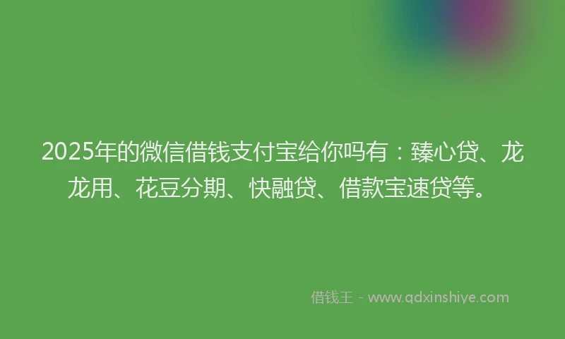2025年的微信借钱支付宝给你吗有：臻心贷、龙龙用、花豆分期、快融贷、借款宝速贷等。