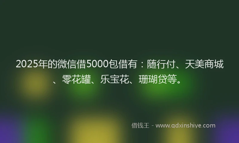 2025年的微信借5000包借有:随行付、天美商城、零花罐、乐宝花、珊瑚贷等。