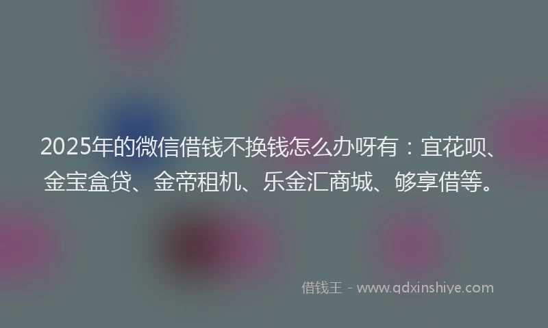 2025年的微信借钱不换钱怎么办呀有：宜花呗、金宝盒贷、金帝租机、乐金汇商城、够享借等。