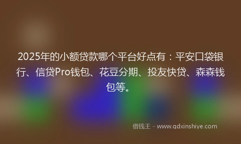 2025年的小额贷款哪个平台好点有：平安口袋银行、信贷Pro钱包、花豆分期、投友快贷、森森钱包等。