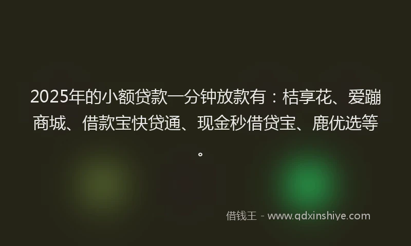 2025年的小额贷款一分钟放款有：桔享花、爱蹦商城、借款宝快贷通、现金秒借贷宝、鹿优选等。