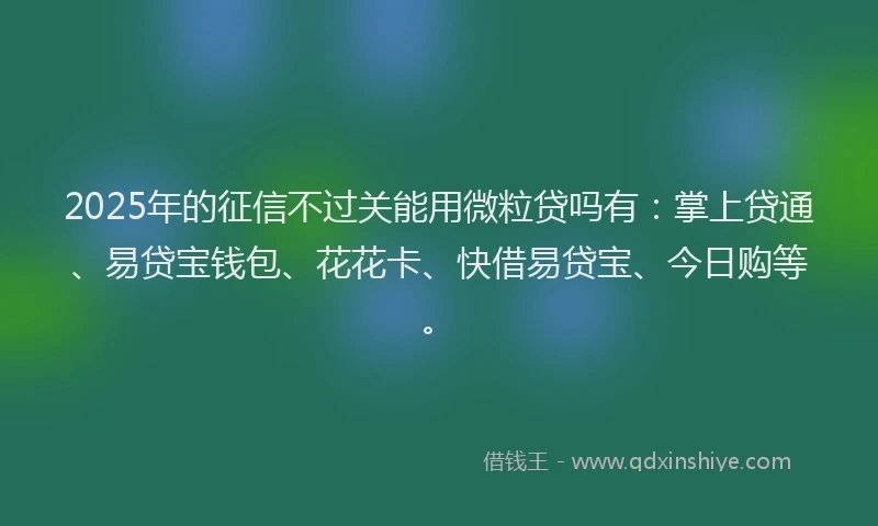 2025年的征信不过关能用微粒贷吗有：掌上贷通、易贷宝钱包、花花卡、快借易贷宝、今日购等。