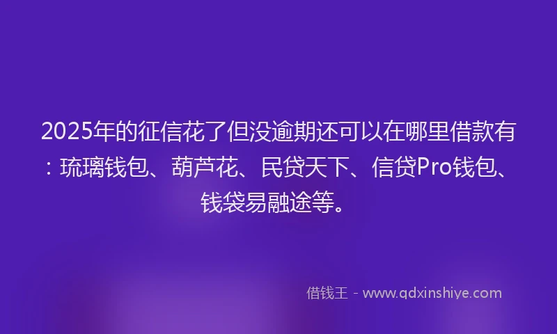 2025年的征信花了但没逾期还可以在哪里借款有：琉璃钱包、葫芦花、民贷天下、信贷Pro钱包、钱袋易融途等。