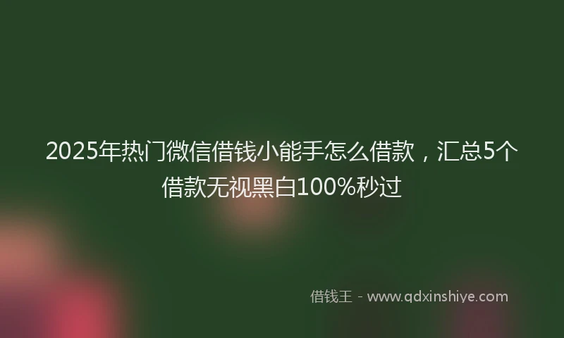 2025年热门微信借钱小能手怎么借款，汇总5个借款无视黑白100%秒过