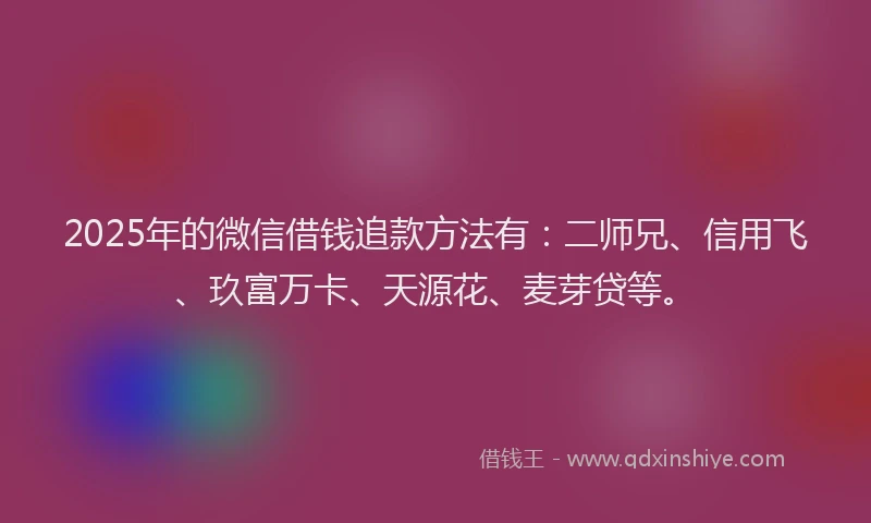 2025年的微信借钱追款方法有：二师兄、信用飞、玖富万卡、天源花、麦芽贷等。