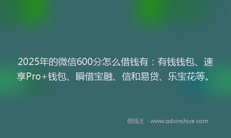2025年的微信600分怎么借钱有：有钱钱包、速享Pro+钱包、瞬借宝融、信和易贷、乐宝花等。