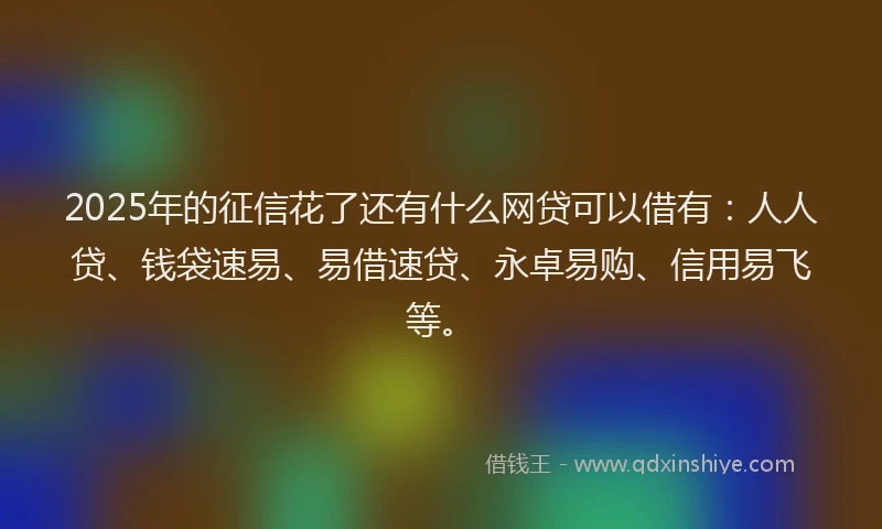 2025年的征信花了还有什么网贷可以借有：人人贷、钱袋速易、易借速贷、永卓易购、信用易飞等。