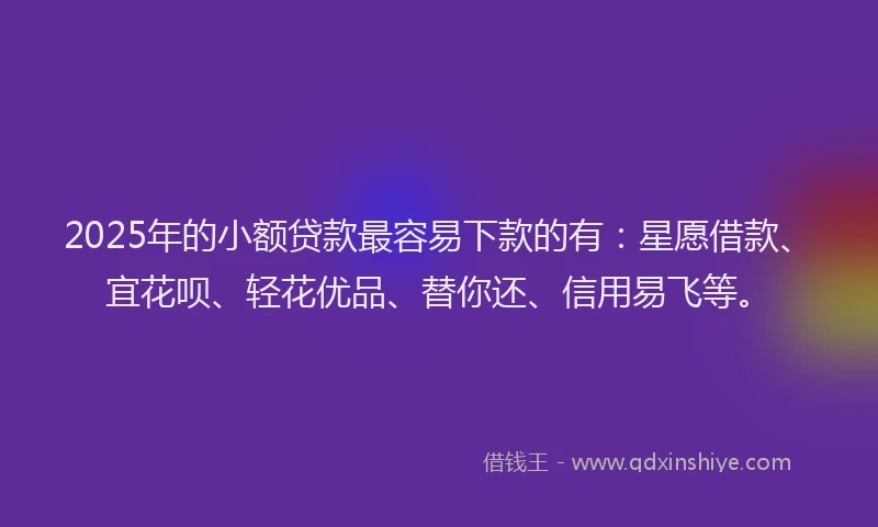2025年的小额贷款最容易下款的有：星愿借款、宜花呗、轻花优品、替你还、信用易飞等。